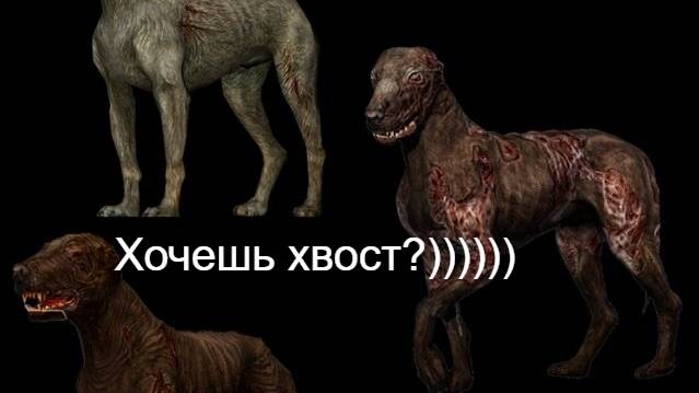 S.T.A.L.K.E.R. N.L.C. 7 3.9.1. #2. В поиске хвоста...