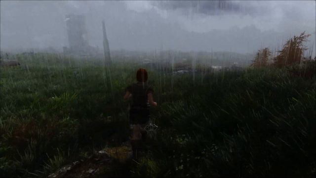 Skyrim Beautiful Grass and Storm