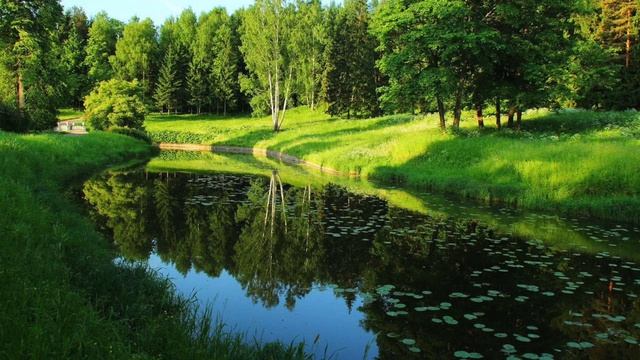 3 ЧАСА МУЗЫКИ ДЛЯ РЕЛАКСА