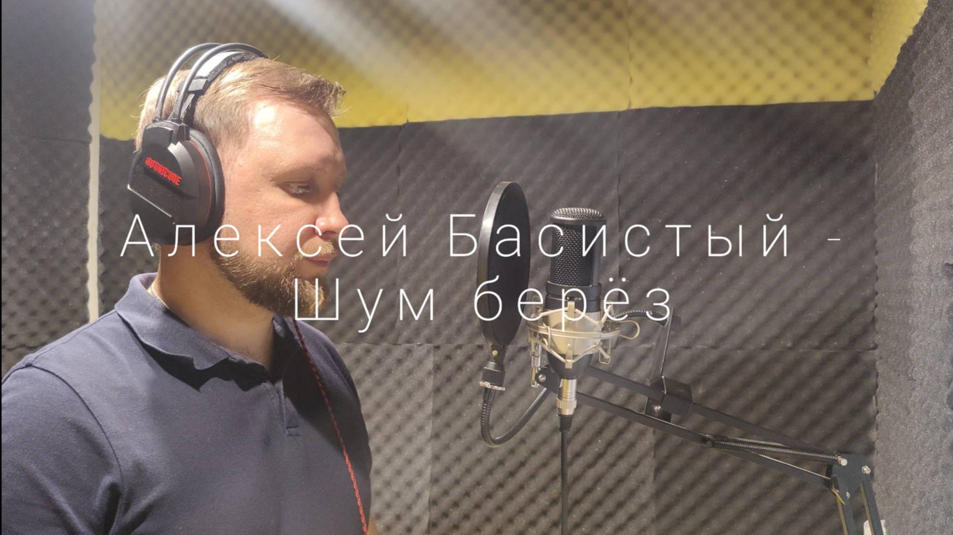 Алексей Басистый - Шум берёз (из к\ф «Мы нижеподписавшиеся»).