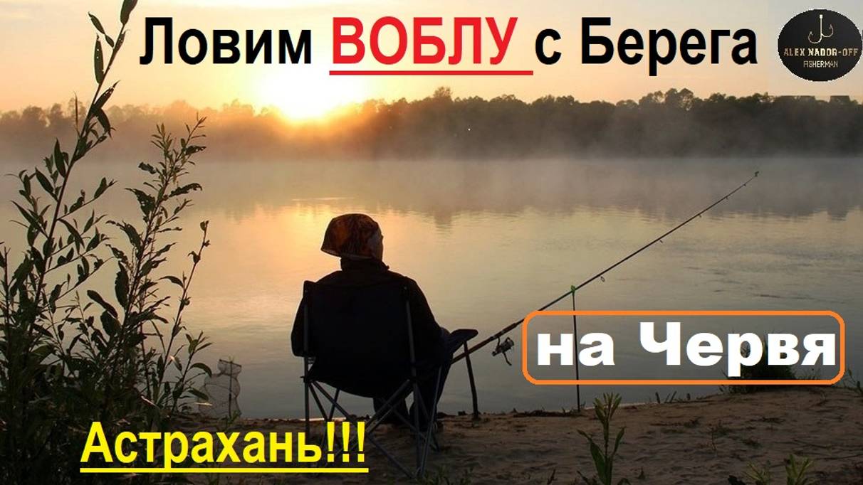 ВОБЛА! Эпичная рыбалка на ВОЛГЕ в Астрахани весной. Рыбу - ловим, солим, колем, вялим и сушим!!!