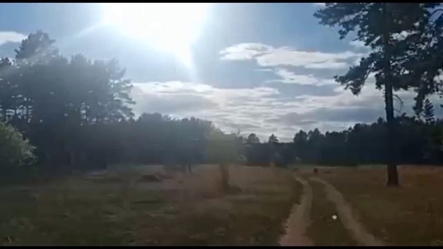 Приготовила обед, пошли на дачу, работы не початый край.