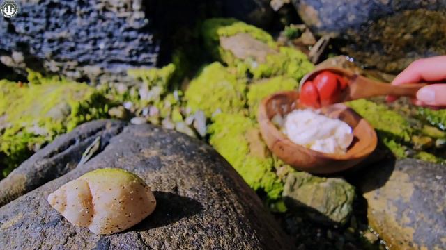 Taco Burger🍔 Cooking on the Beach (ASMR, RELAXING SOUNDS, CAMPING)