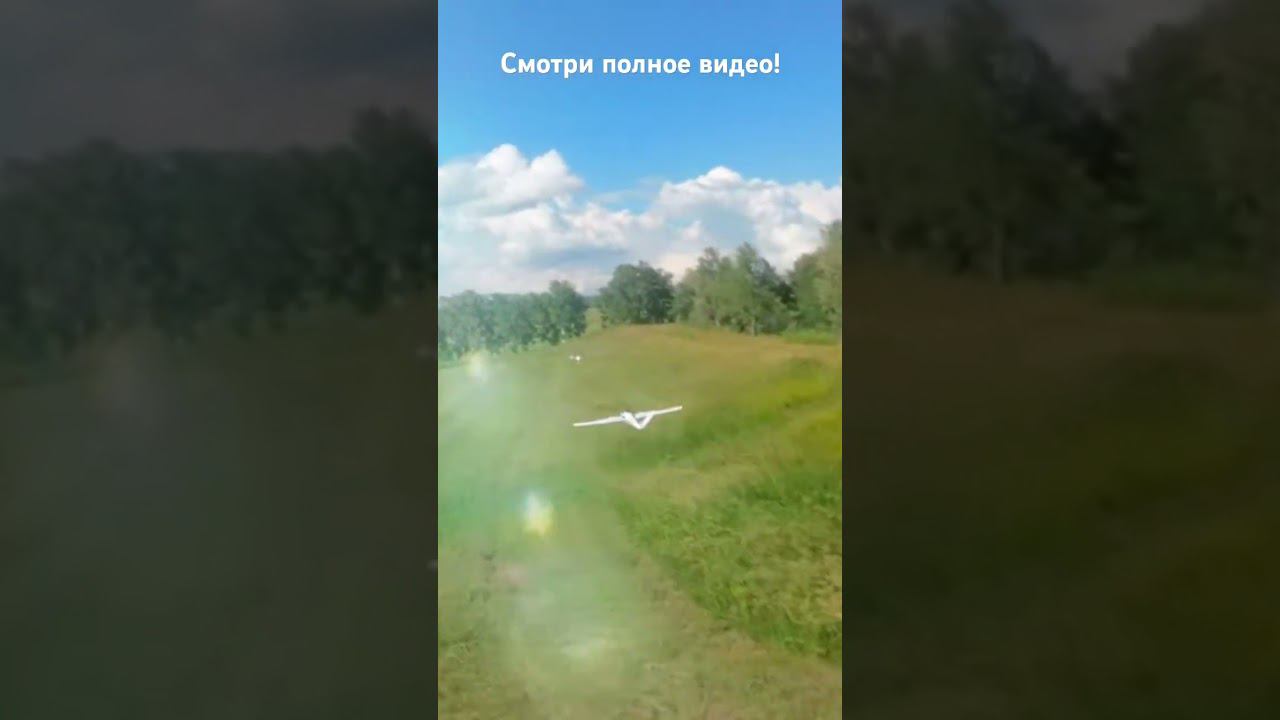 6 июля 2024 г.