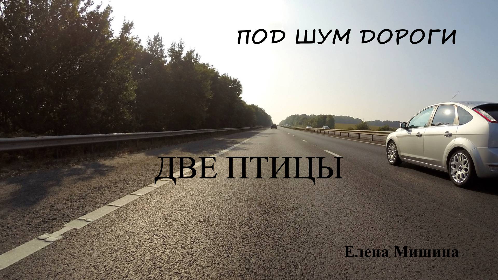 Две птицы