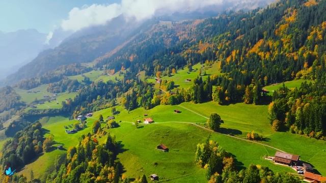 The Most Beautiful Spanish Chillout - Rumba - Cha Cha - Samba - Tango 2023 | Guitar Best Hits