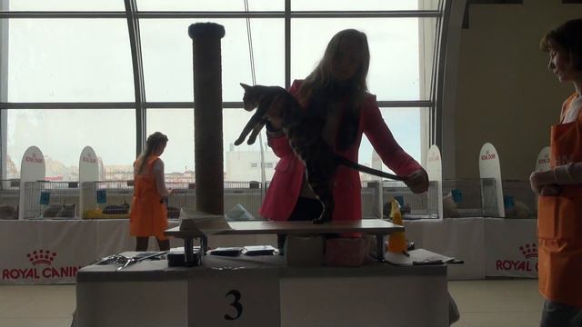 WCF-Ring JUNIOR I  Mrs. Anna Rudakova