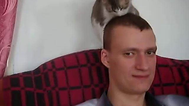 Новый шампунь