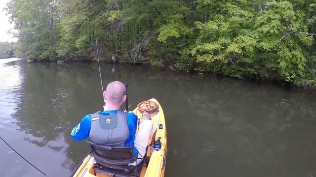 This Lure Catches EVERYTHING: Fun Fishing With the Gulp Minnow