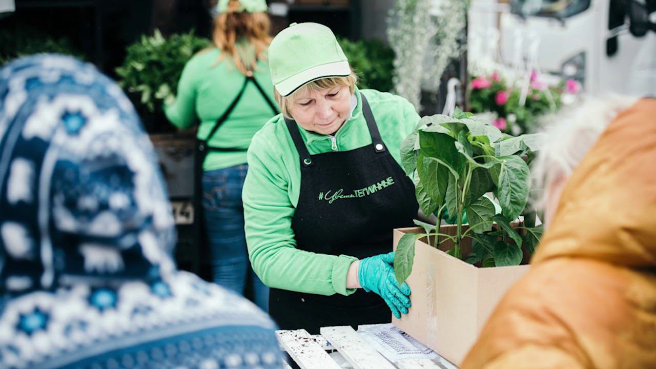 Тепличный конкурс Украшение ярмарки