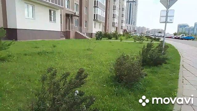 гуляю по полю. побег от мух атака насекомых!