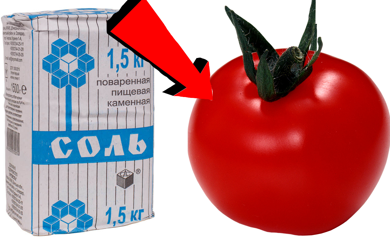 Как быстро подкормить помидоры За 3 секунды!