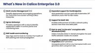 What's New in Calico Enterprise 3 0