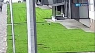 Кроликов выбросили из окна в воронежском ЖК