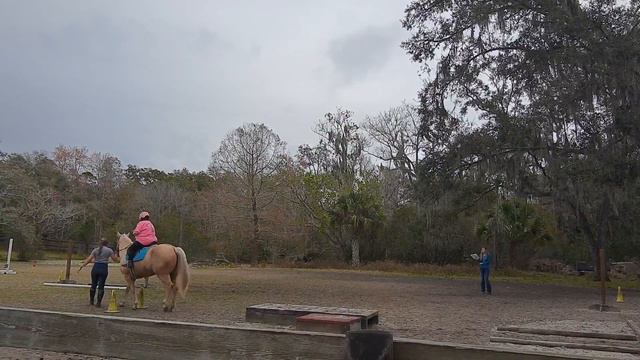 Alyssa & Petunia Lite Course Special Needs VTRC #17