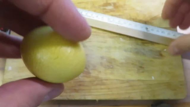 Супер Урожайность Домашнего Лимона! Фруктовый Сад На Дому! Генератор Живительного Синуса в Действии