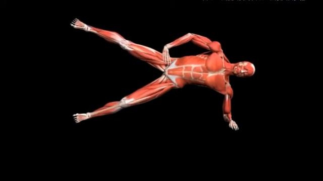 Боковой мостик с подъемами ноги Bodyweight side bridge Leg raise