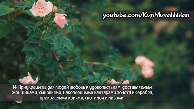 АбдурРахман ар-Рушуд. Сура 3 «Семейство Имрана» (10-17)