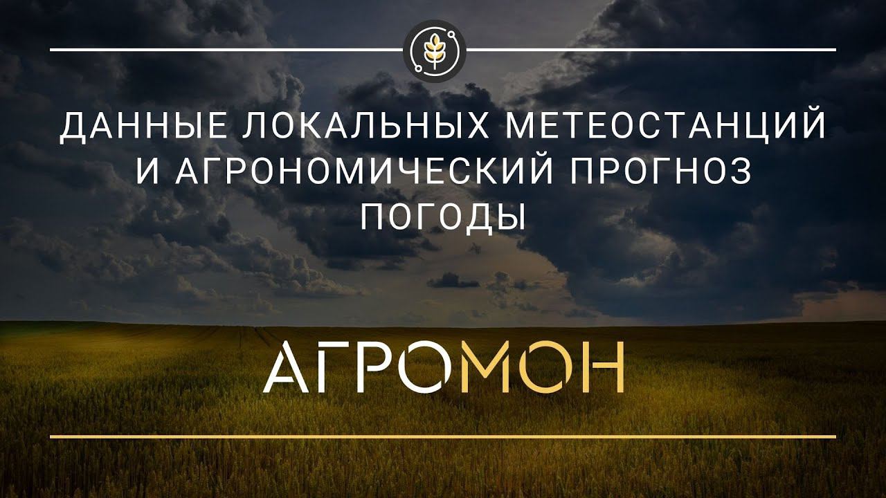 Погода
