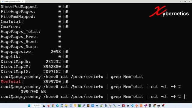 cat, grep, cut, sed and awk to get data about your system - Linux