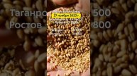 Закупочные цены 27.11.2023г. на пшеницу 4 класса (протеин ≥ 12,5%) в портах Азовского и Чёрного моря