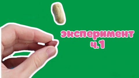 Эксперимент. часть 1