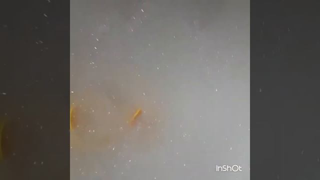 Сказка о подводным заколдованом городке начало