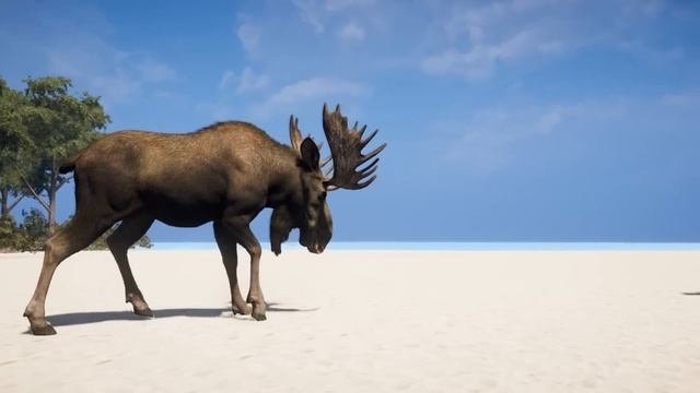 Who is the Strongest Animal in Far Cry 5?