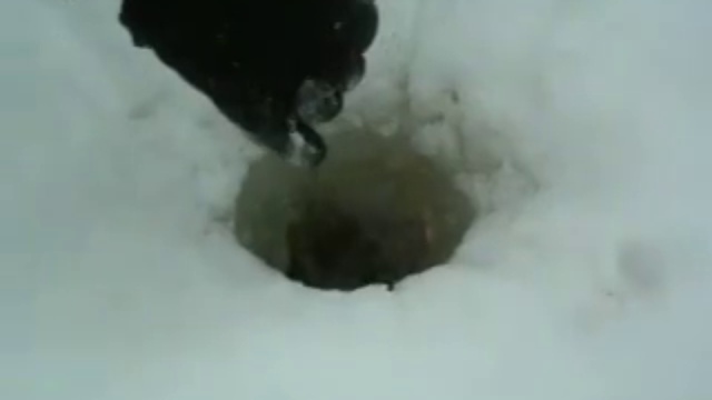 Щука поймалась ещё та.