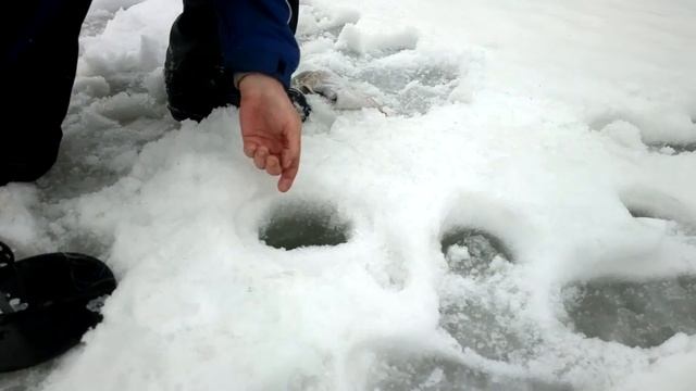 Зимняя рыбалка. Щука-1
