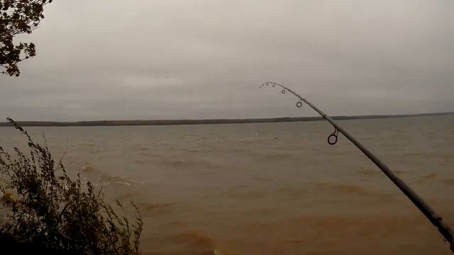 Яузское водохранилище Пудыши 6 окт 2016 эпизод 8.