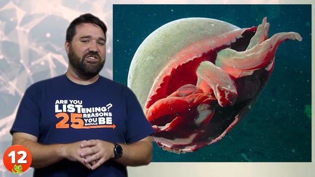 25 Creepiest Animals You Won’t Believe Actually Exist