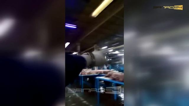 Ачинский мясокомбинат ЗАО "Назаровское" - правда о производстве колбасы