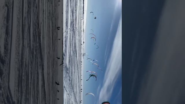 InShot_20230326_155304974.mp4