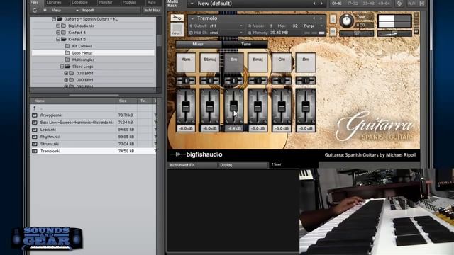Big Fish Audio Guitarra Spanish Guitar Loop library - SoundsAndGear