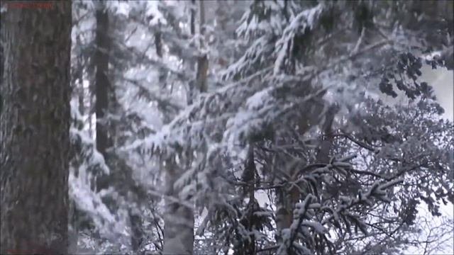 А.Маршал "Белый Пепел" (В.Колчин) [VaZaR@S†udio]