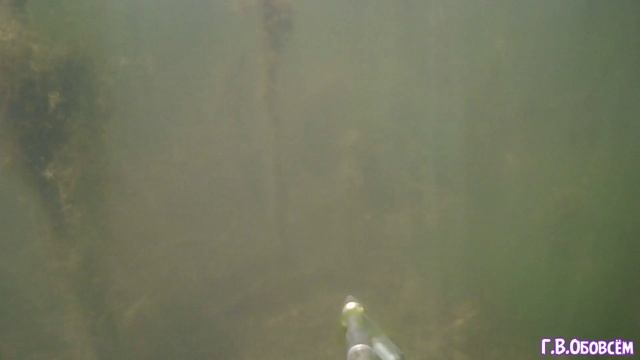 Осталась ли рыба в водоёме, подводная сьёмка!