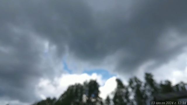Прополка капусты. 12.07.2024.