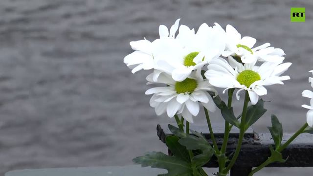 Жители Санкт-Петербурга возлагают цветы в память о погибших при падении автобуса с моста