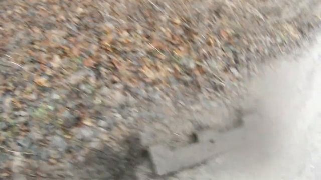 РАЗВЕДКА две фермы поиск металла.Погода теплая