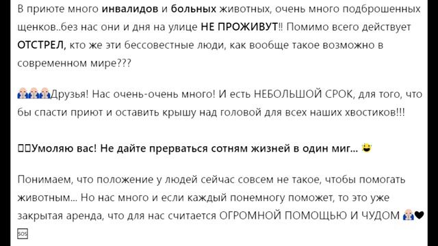 Помогите собрать Петропавловск-Камчатскому приюту для животных на аренду 46 000 руб. до 20.09.2023