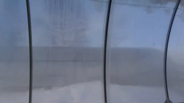 посев в теплице без обогрева 9 марта 2018 Эксперимент!