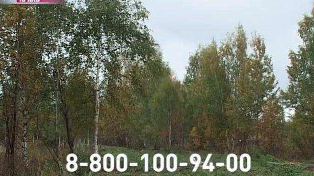 С 15 апреля за костры и шашлыки в лесу будут штрафовать