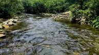 Overcome stress with river sounds in forest - Waterfall sounds for sleep instantly and relax