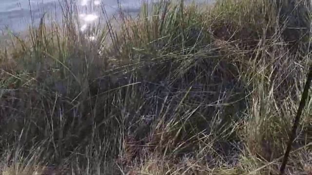 07.2024 Набережная города Ярового//Сгорела машина//Мы дома...