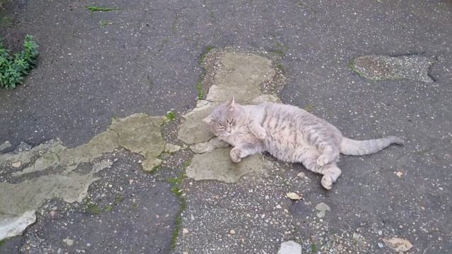 Наконец-то замазываем, красим и наводим порядок !