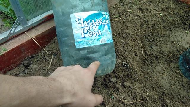 Капельный полив урожай 1