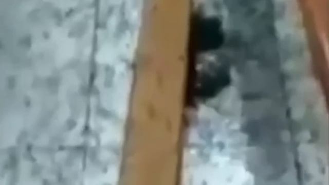 10 Mysterious Things Caught On Camera In Church