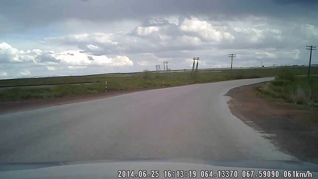 Камера в кустах