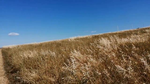 Сенокос в Геленджике😄 🌾